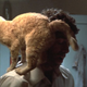Illustration for article titled Elliott Gould solves a crime—but not before feeding his cat